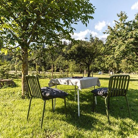 Iselhof Apartamento Lienz Exterior foto